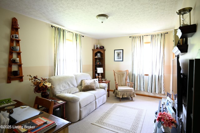 1025 Lake Rd, Campbellsburg, KY 40011 - carpeted living area with healthy amount of natural light and a textured ceiling