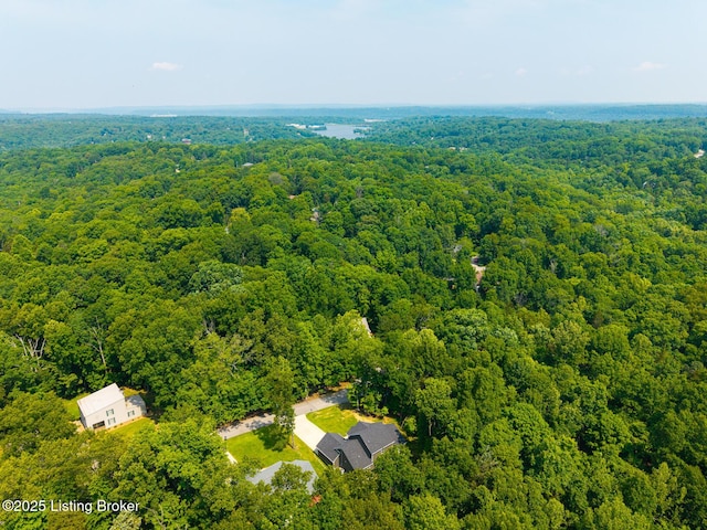 162 Penny Royal Ln, Brandenburg, KY 40108 - drone / aerial view of a heavily wooded area