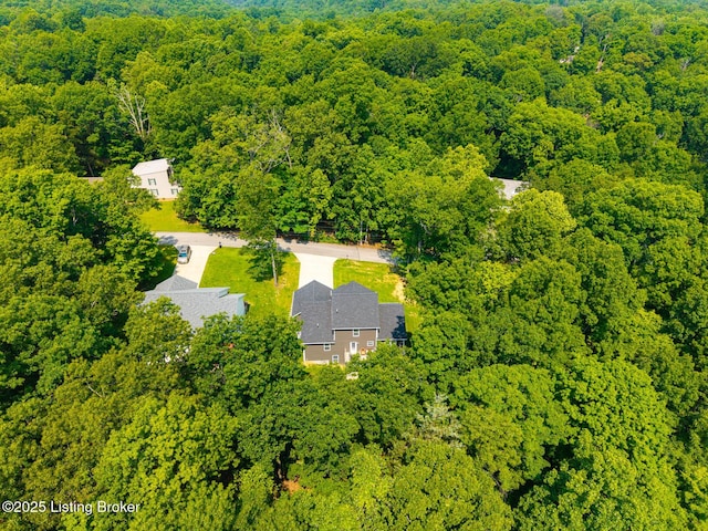 162 Penny Royal Ln, Brandenburg, KY 40108 - drone / aerial view of a heavily wooded area