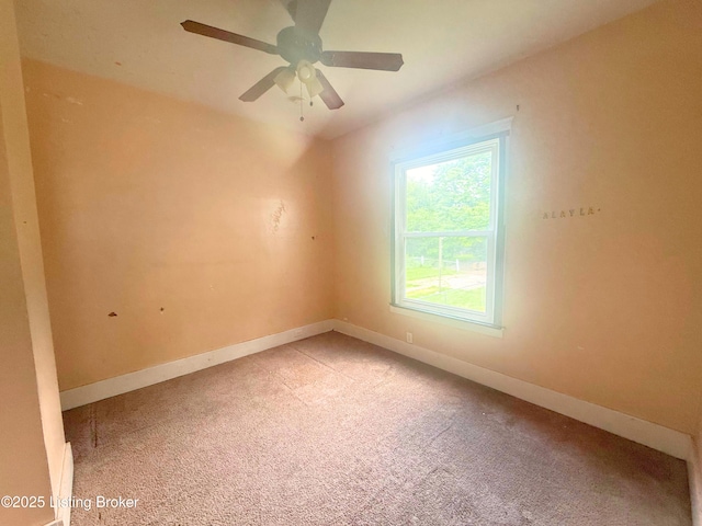 653 Cecil Ave, Louisville, KY 40211 - photo 8