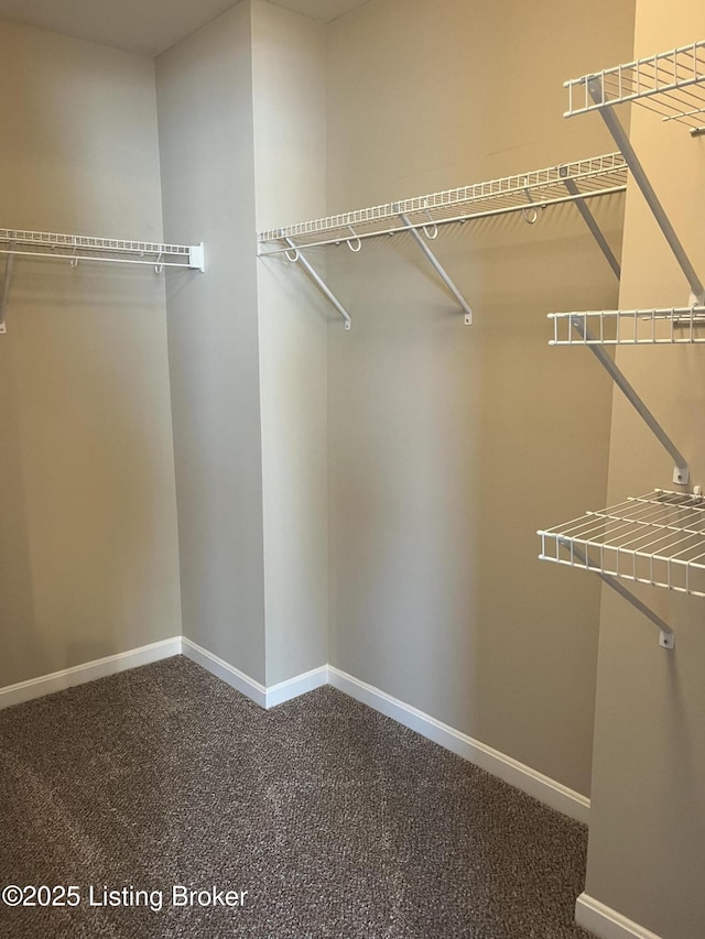 116 Hubbards Landing Blvd, Mt Washington, KY 40047 - photo 23