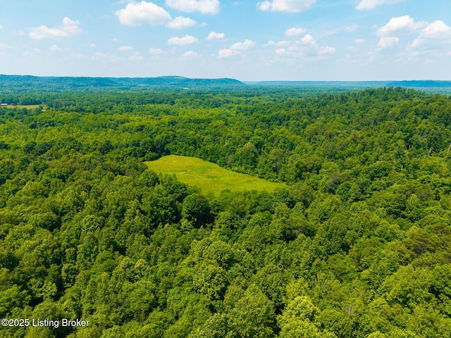 1367 Newman Hill Rd, Shepherdsville, KY 40165