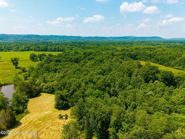 1367 Newman Hill Rd, Shepherdsville, KY 40165