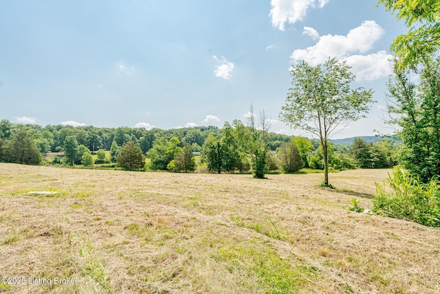 1367 Newman Hill Rd, Shepherdsville, KY 40165