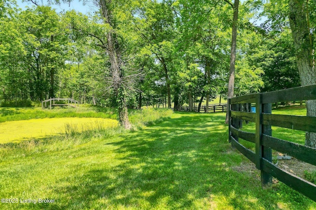 348 Old Stone Dr, Simpsonville, KY 40067 - view of yard