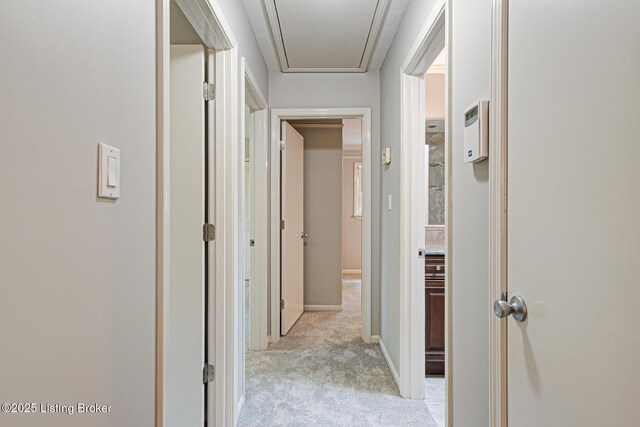 3325 Chenoweth Run Rd, Louisville, KY 40299 - hallway with light carpet, attic access, and baseboards