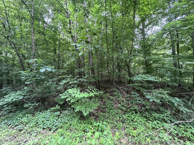 25926026 Poplar Cir, New Haven, KY 40051