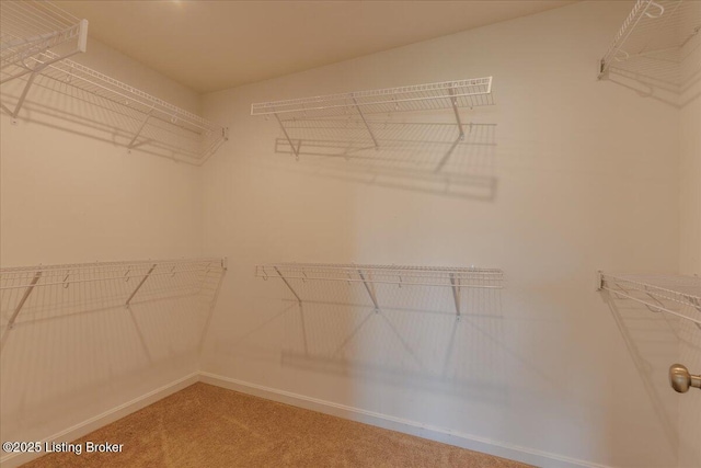 11210 Remembrance Ln, Louisville, KY 40229 - walk in closet featuring carpet floors