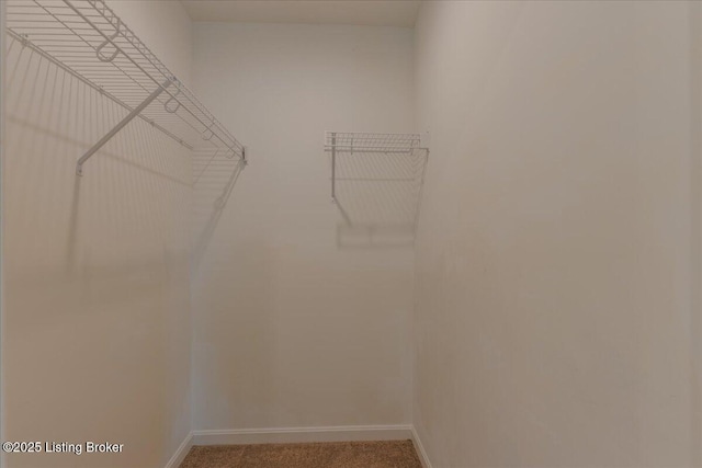 11210 Remembrance Ln, Louisville, KY 40229 - view of walk in closet