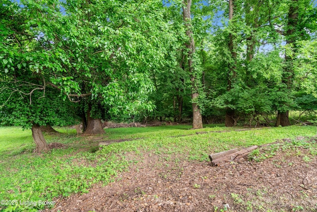 5117 Maryview Dr, Louisville, KY 40216 - photo 6