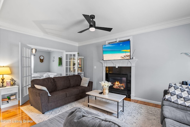 17411 Polo Run Ln, Louisville, KY 40245 - living area with wood finished floors, ornamental molding, ceiling fan, a glass covered fireplace, and baseboards