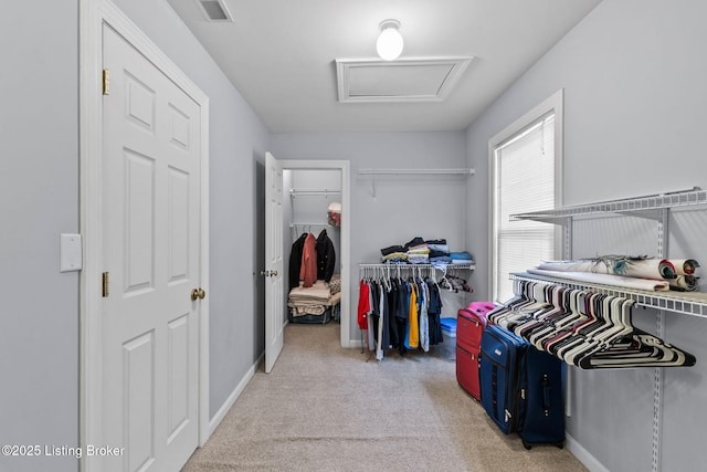 17411 Polo Run Ln, Louisville, KY 40245 - walk in closet with attic access and light carpet