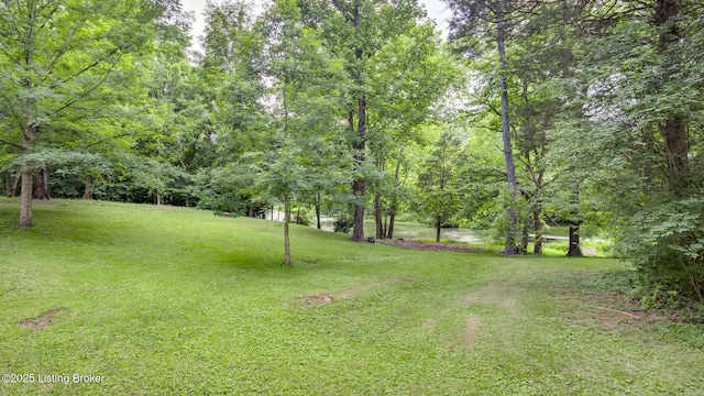 1625 Tina Ct, La Grange, KY 40031 - view of green lawn