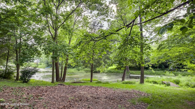 1625 Tina Ct, La Grange, KY 40031 - view of yard featuring a water view