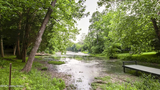 1625 Tina Ct, La Grange, KY 40031 - water view
