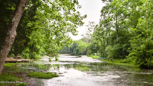 1625 Tina Ct, La Grange, KY 40031 - view of property's community with a view of trees and a deck with water view