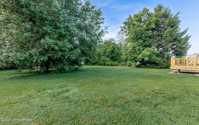 186 Lillian Ave, Elizabethtown, KY 42701 - photo 54