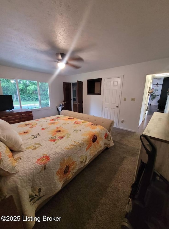 3007 Cline Ct, Carrollton, KY 41008 - bedroom featuring dark carpet, a ceiling fan, and a textured ceiling