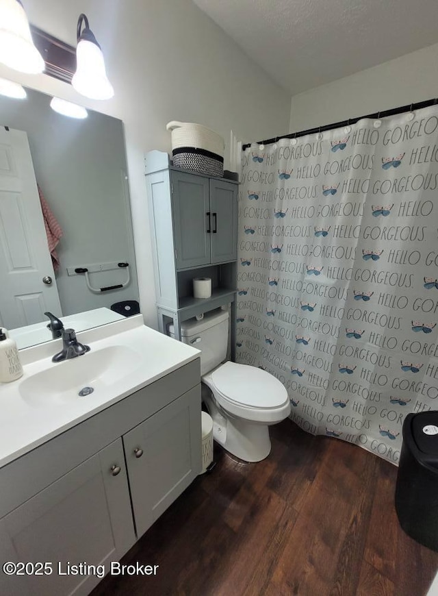 3007 Cline Ct, Carrollton, KY 41008 - bathroom with wood finished floors, vanity, toilet, and a shower with shower curtain