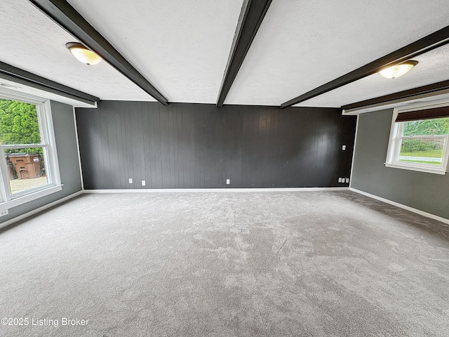 7714 Cedar Hollow Dr, Louisville, KY 40291 - photo 42