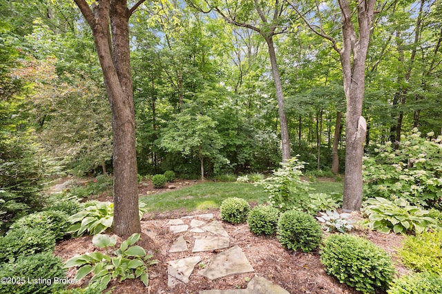 14601 Landon Ct, Louisville, KY 40245 - photo 51