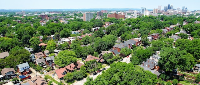 1344 S Brook St, Louisville, KY 40208 - view of urban area
