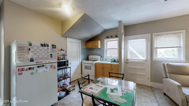 1344 S Brook St, Louisville, KY 40208 - kitchen featuring white appliances, healthy amount of natural light, a textured ceiling, light countertops, and lofted ceiling