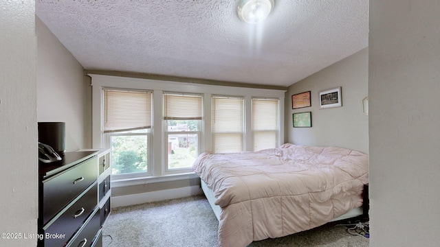 1344 S Brook St, Louisville, KY 40208 - carpeted bedroom featuring a textured ceiling and vaulted ceiling