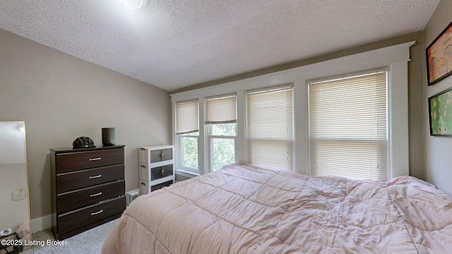 1344 S Brook St, Louisville, KY 40208 - bedroom featuring carpet flooring, a textured ceiling, and lofted ceiling