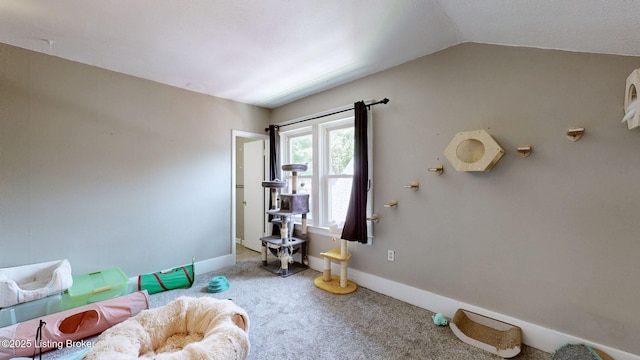 1344 S Brook St, Louisville, KY 40208 - living room with carpet floors, baseboards, and lofted ceiling