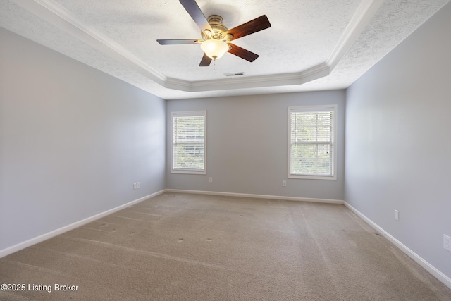 8811 Eli Dr, Louisville, KY 40291 - spare room with a tray ceiling, a textured ceiling, healthy amount of natural light, carpet floors, and ornamental molding