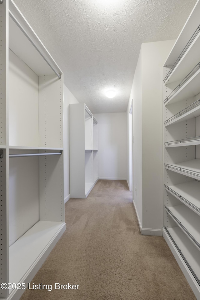 8811 Eli Dr, Louisville, KY 40291 - spacious closet featuring light carpet