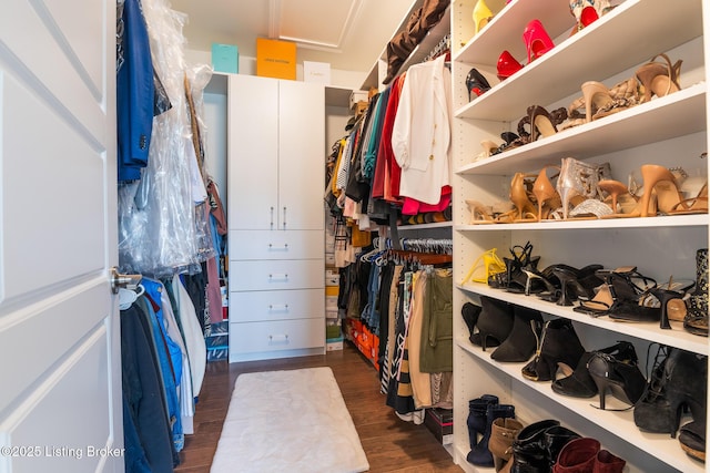 2004 Scenic Lakes Dr, Louisville, KY 40245 - spacious closet featuring dark wood-style floors