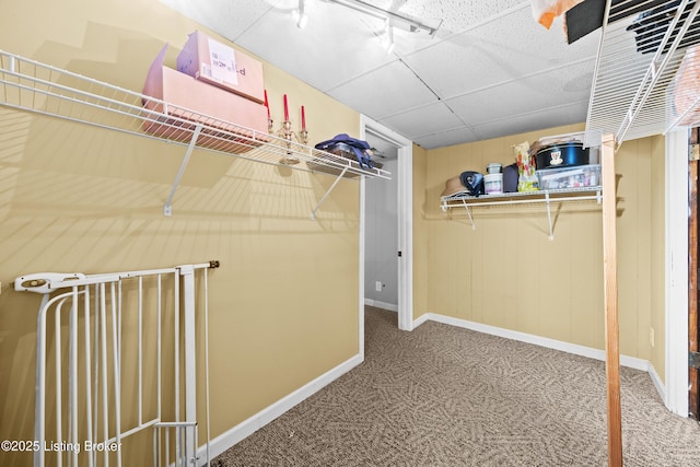 4205 Estate Dr, Louisville, KY 40216 - walk in closet with carpet flooring and a drop ceiling