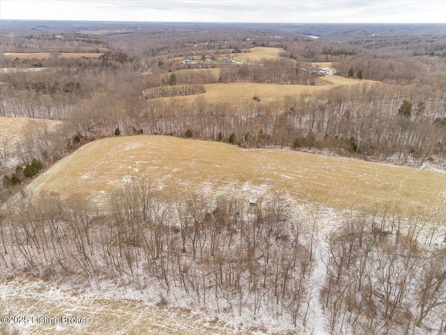 LOT1 Burgin Noel Rd, Bloomfield, KY 40008