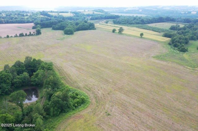 10001 Bloomfield Rd, Springfield, KY 40069