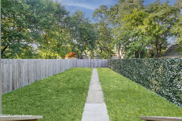 421 Marret Ave, Louisville, KY 40208 - view of yard