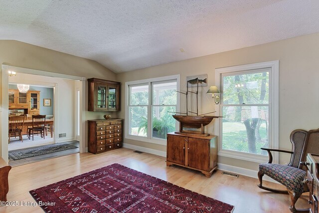 6311 Fible Ln, Crestwood, KY 40014 - living area featuring vaulted ceiling, wood finished floors, a textured ceiling, plenty of natural light, and baseboards