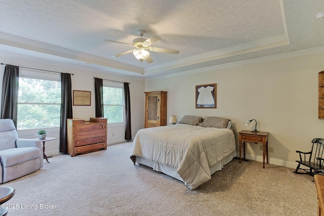 6311 Fible Ln, Crestwood, KY 40014 - bedroom with a raised ceiling, ornamental molding, a textured ceiling, light colored carpet, and baseboards