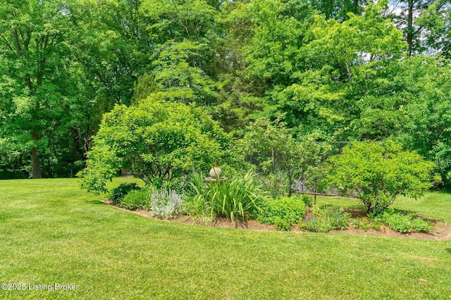 6311 Fible Ln, Crestwood, KY 40014 - view of green lawn