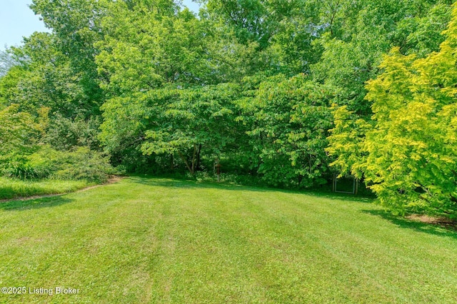 6311 Fible Ln, Crestwood, KY 40014 - view of green lawn