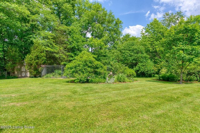 6311 Fible Ln, Crestwood, KY 40014 - view of yard