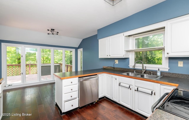 211 Rebel Dr, Pewee Valley, KY 40056 - kitchen with stainless steel dishwasher, a sink, vaulted ceiling, healthy amount of natural light, and black range oven