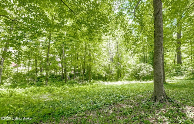 211 Rebel Dr, Pewee Valley, KY 40056 - view of tree filled area
