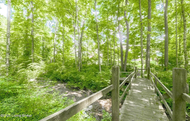 211 Rebel Dr, Pewee Valley, KY 40056 - view of dock