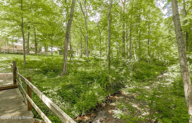 211 Rebel Dr, Pewee Valley, KY 40056 - view of yard