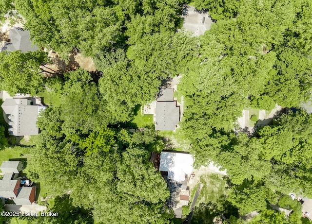 211 Rebel Dr, Pewee Valley, KY 40056 - bird's eye view