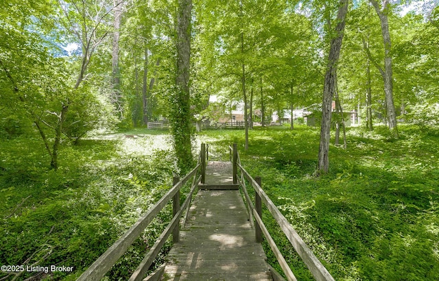 211 Rebel Dr, Pewee Valley, KY 40056 - view of community