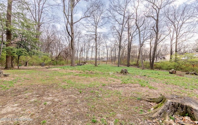 4825 Manslick Rd, Louisville, KY 40216 - view of yard