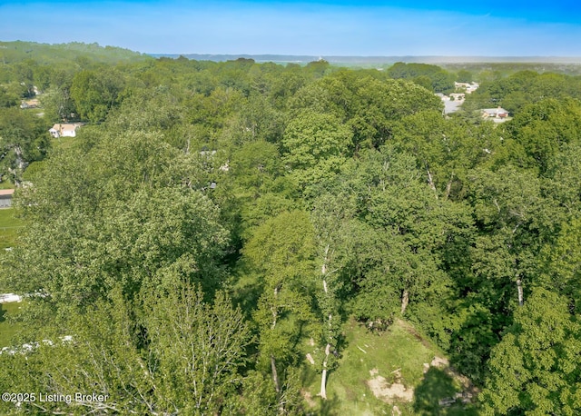 4825 Manslick Rd, Louisville, KY 40216 - aerial view of property and surrounding area featuring a heavily wooded area